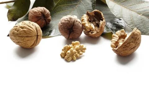 Whole walnuts and kernels tree leaf on white background Stock Photos