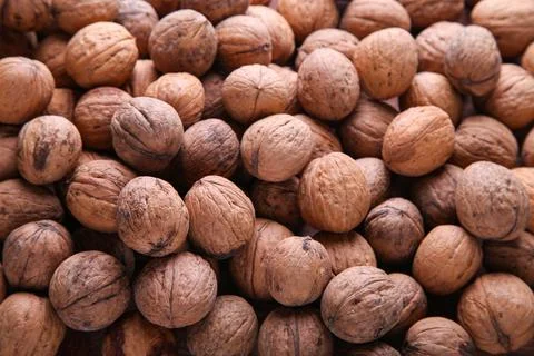 Whole walnuts background. Background of walnuts close up. A full source of ve Stock Photos