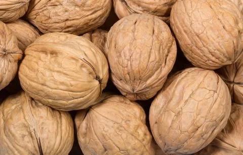 Whole walnuts as background Stock Photos
