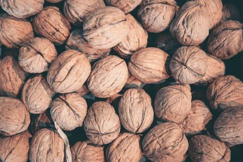 Whole walnuts close up Stock Photos