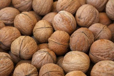 Whole walnuts in nutshells close up Stock Photos