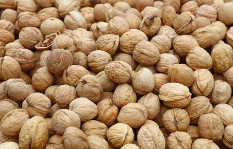 Whole walnuts in nutshells close up Stock Photos