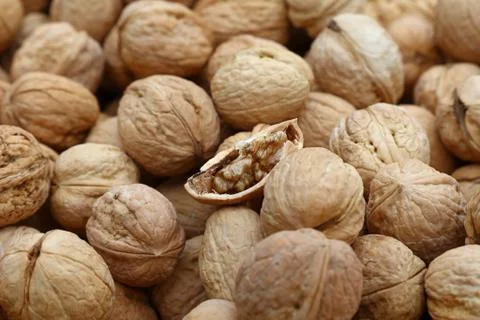 Whole walnuts in nutshells close up Stock Photos