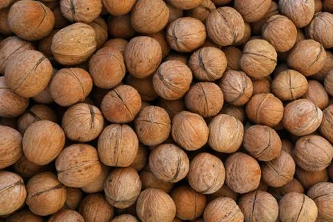 Whole walnuts in nutshells close up Stock Photos