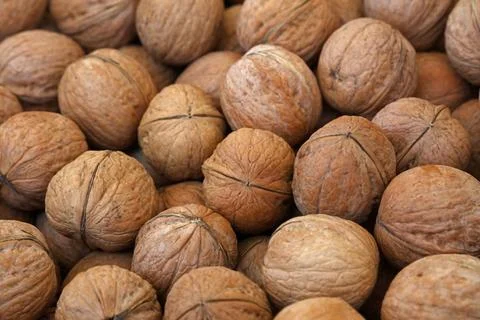 Whole walnuts in nutshells close up Whole walnuts with brown nutshells on ... Stock Photos