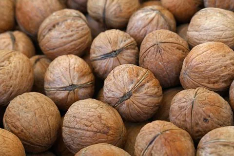 Whole walnuts in nutshells close up Whole walnuts with brown nutshells on ... Stock Photos