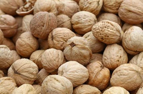 Whole walnuts in nutshells close up Whole walnuts with brown nutshells on ... Stock Photos
