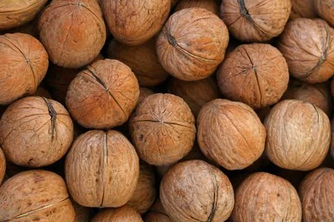 Whole walnuts in nutshells close up Whole walnuts with brown nutshells on ... Stock Photos