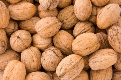 Whole walnuts Stock Photos
