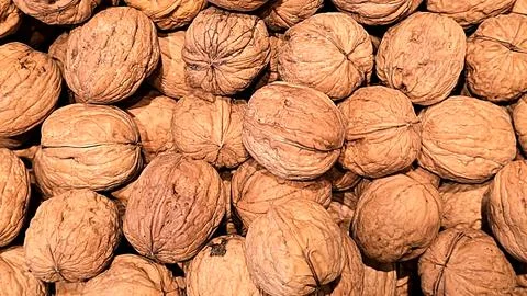 Whole walnuts in shell texture background close up Фото