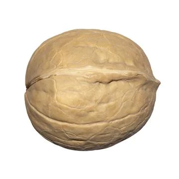 Whole walnuts on a white background. Stock Photos