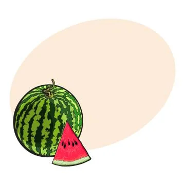Whole watermelon and red triangular piece with seeds, sketch illustration Illustrazione stock