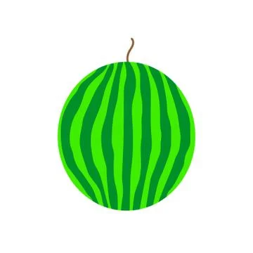 The whole watermelon. Stock Illustration