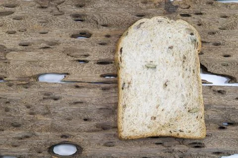 Whole wheat bread slice have rice grain on wood background. Stock Photos