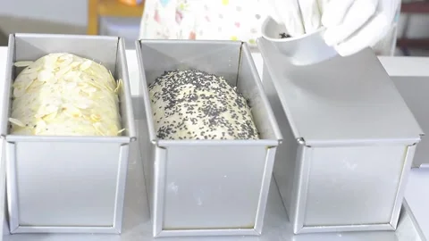 Whole wheat cereal Stock Footage 158343268