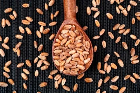 Whole wheat seeds in wooden spoon Stock Photos