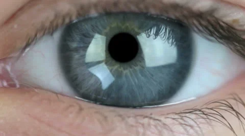 The whole world is inside you Stock Footage 24264327