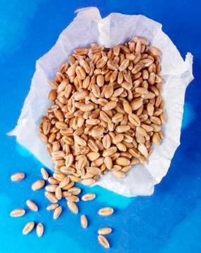 WHOLEWHEAT Photos