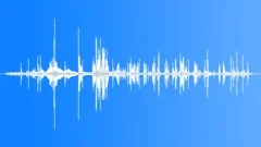 Whooper Swan Calls CU Sound Effect