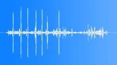 Whooper Swan Calls CU Sound Effect