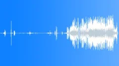 Whooper Swan Single Calls Sound Effect