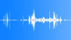 Whooper Swan Single Calls Sound Effect