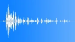 Whooper Swan Trumpeting Calls Sound Effect