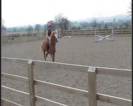 Whoops! Stock Footage 1011378