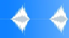 Whoosh 2 Sound Effect