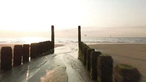 Whoosh-effect flight along Tranquil Beach with Flying Seagulls at Sunse Stock Footage 295949413