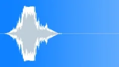 Whoosh fast exit short Sound Effect
