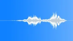 WhooshSound Effect