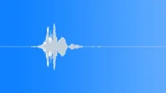WHOOSHSound Effect