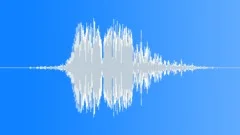 WHOOSH Sound Effect