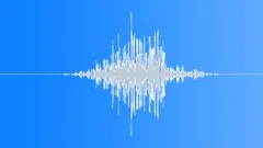 WhooshSound Effect