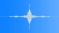 WhooshSound Effect