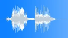 Whoosh Swoosh Movement TransitionSound Effect