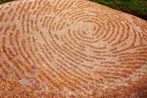 Whorl Marks On Stone Stock Photos