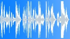Why can't you just do things MY way? (several versions) Sound Effect