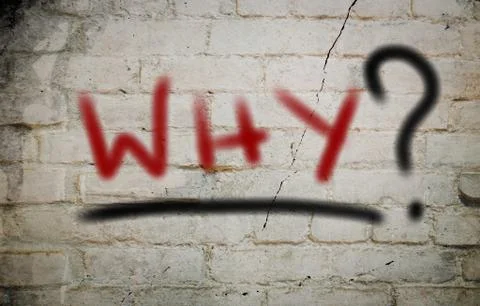 Why concept Illustrazione stock