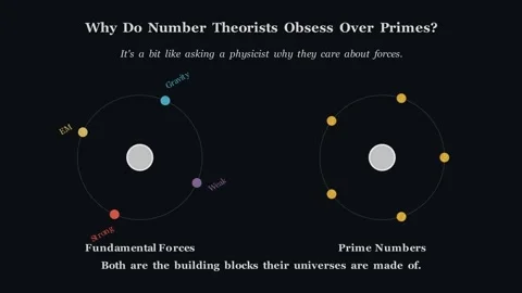 Why do number theorists obsess over primes Stock Footage 341789647