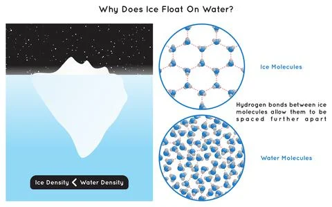 Why Does Ice Float on Water Infographic Diagram physics science education vector Stock Illustration