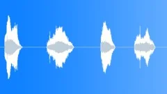 Why - Female Voiceover Sound Effect