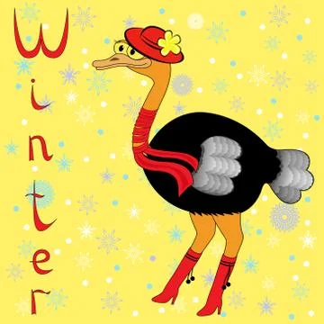 Why ostrich is so cold in winter? Stock Illustration