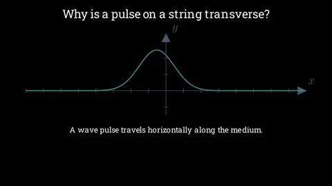 Why is a pulse on a string transverse Video stock 335764630