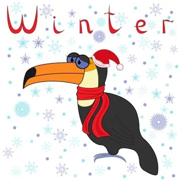Why toucan is so cold in winter? Stock Illustration