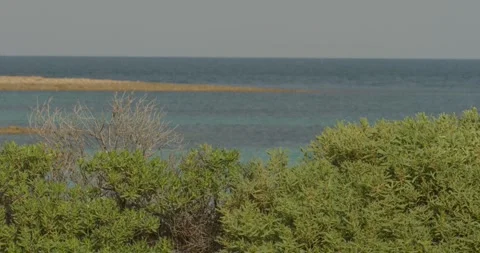 Whyalla Scenic Coastline, Rack Focus Stock Footage 317660897