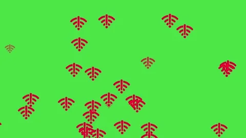 Wi-Fi Error Icon on Green Screen | No Internet Connection Warning Stock Footage 335536340