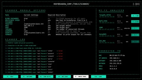 Wi-Fi network analyzer user interface with hacking bruteforce password attack Video stock 105475614