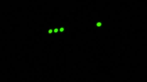 Wi-Fi router or modem light blinking. Wireless internet connection. Flashing 스톡 동영상 205036212